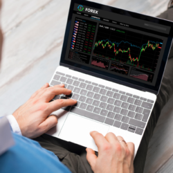 Online Forex Trading Skills