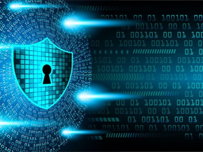 network security audit